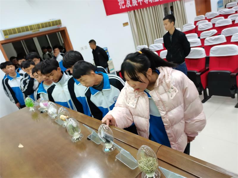 开展禁毒知识讲座 助力示范创建验收